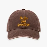 We Are Not Friends Hello & Goodbye Brown Hat (1)
