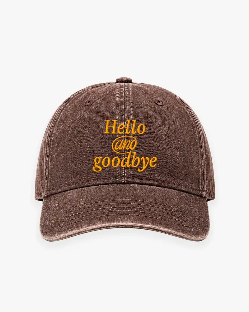 We Are Not Friends Hello & Goodbye Brown Hat (1)