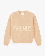 We Are Not Friends Knit Sweater (1)