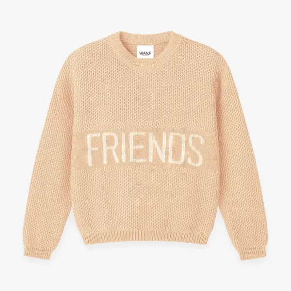 We Are Not Friends Knit Sweater (1)