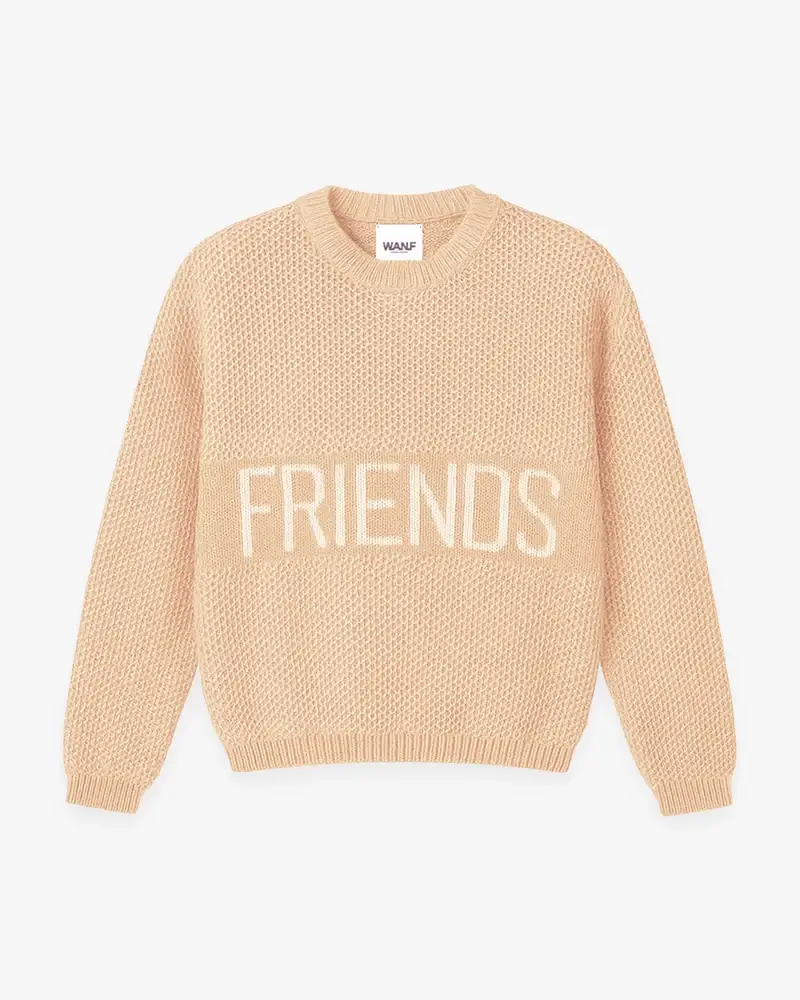 We Are Not Friends Knit Sweater (1)