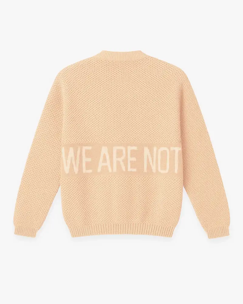 We Are Not Friends Knit Sweater (5)