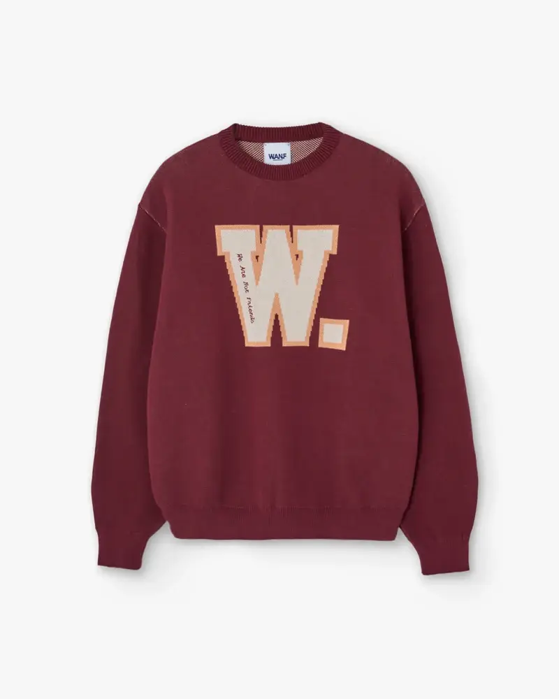 we are not friends w state sweater (1)